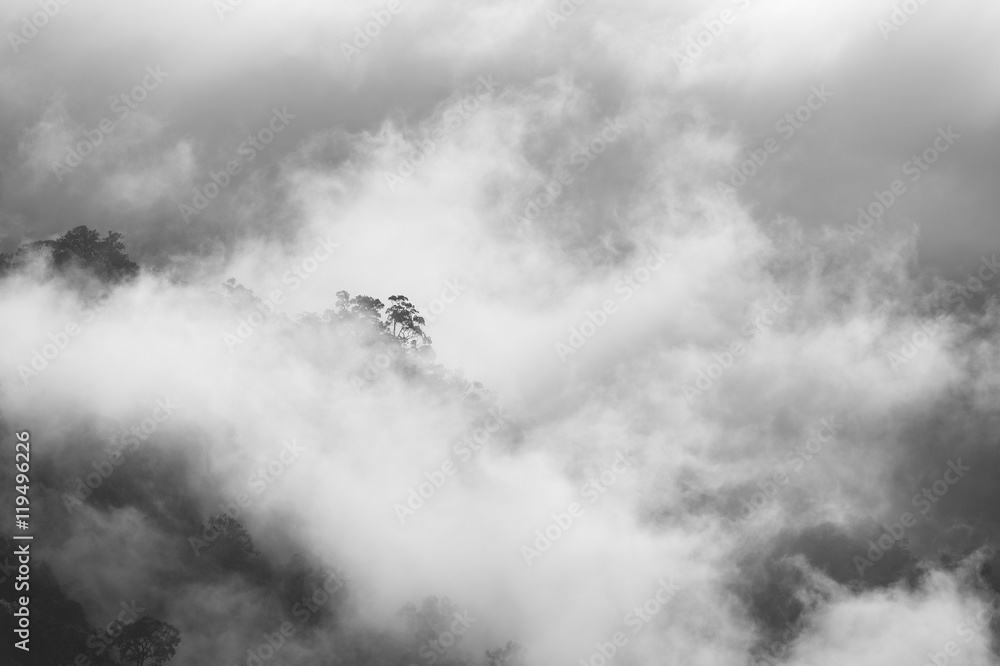 Plakat Fog and cloud mountain valley spring landscape with black and white.