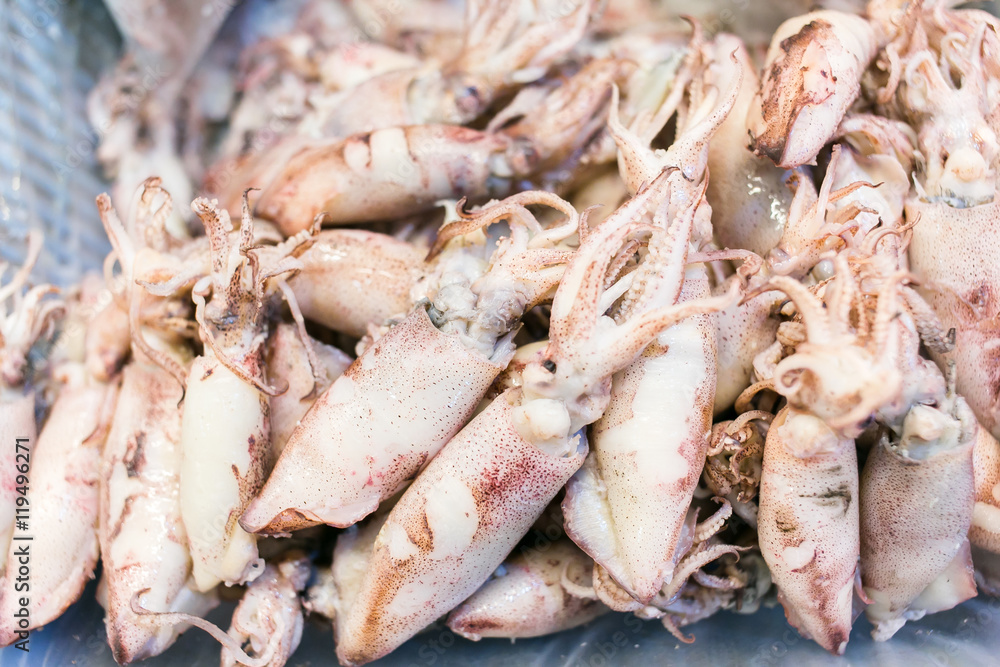 Dry squid for food in Thailand. Dry squid for food in Thailand.