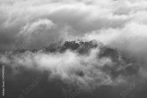 Fog and cloud mountain valley spring landscape with black and white.