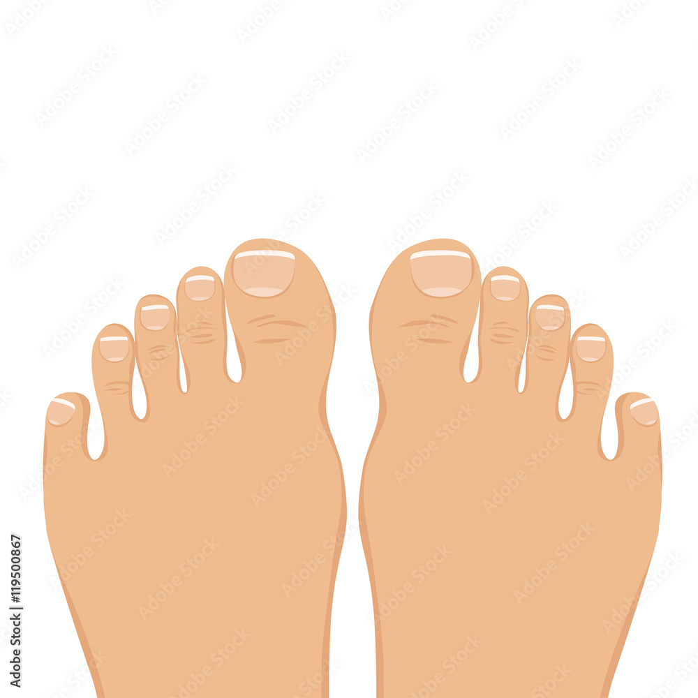 Vector illustration of a woman barefoot. Top view. Vector illustration of a woman barefoot. Top view.