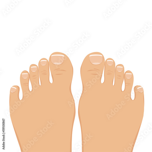 Vector illustration of a woman barefoot. Top view.