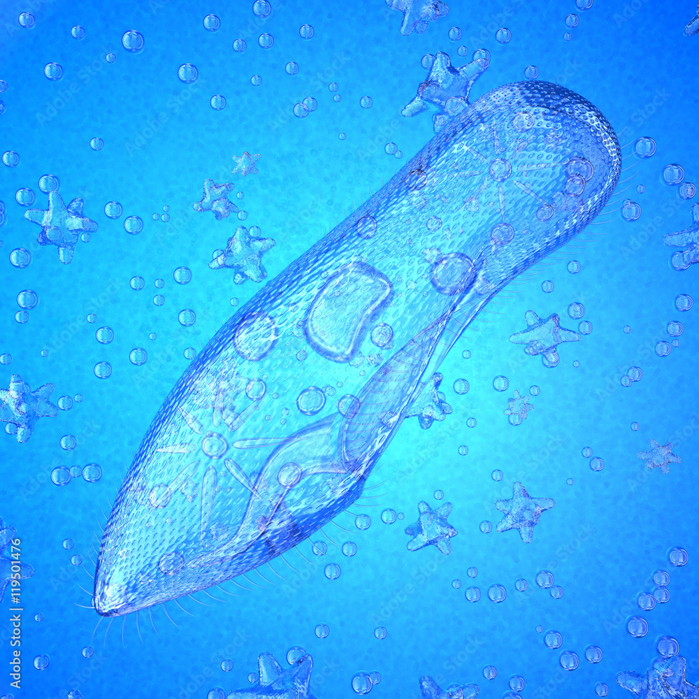 Protozoa ciliates. 3d illustration. Transparent on a blue background. Protozoa ciliates. 3d illustration. Transparent on a blue background.