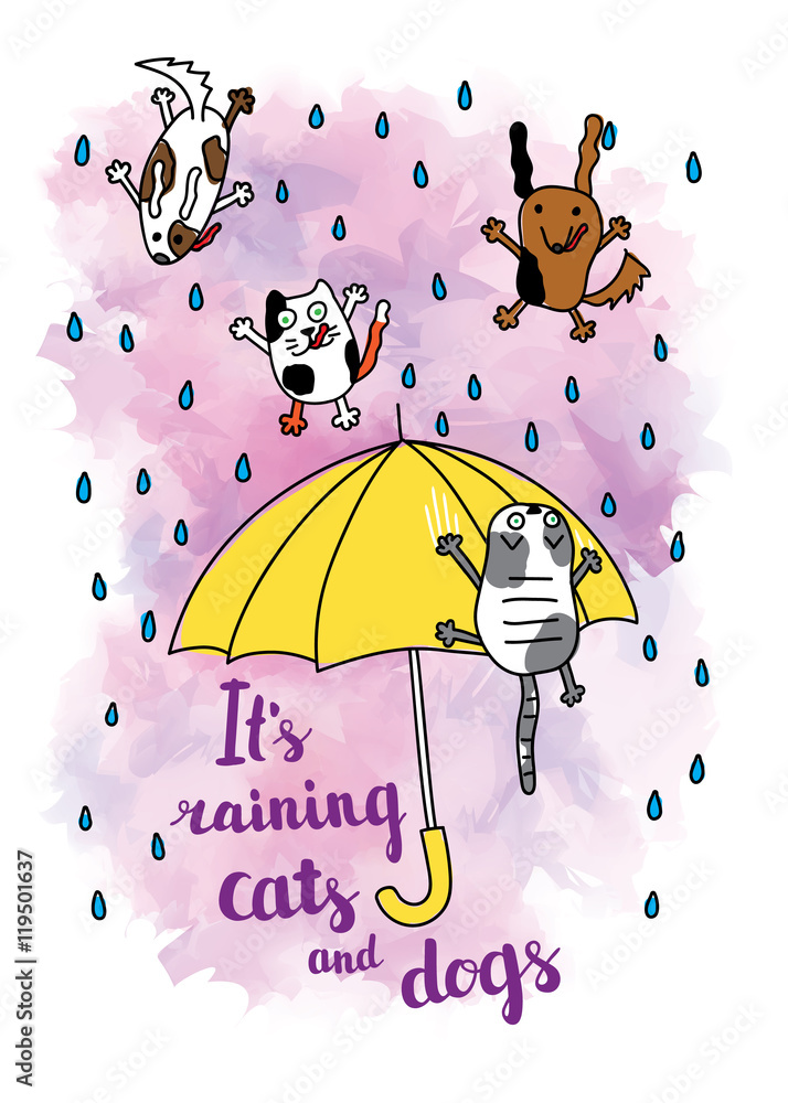 raining-cats-and-dogs-what-does-it-mean-why-do-we-say-it-46-off