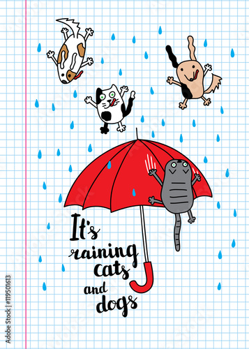 "It's raining cats and dogs" autumn card.
