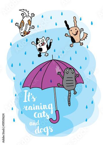"It's raining cats and dogs" autumn card.