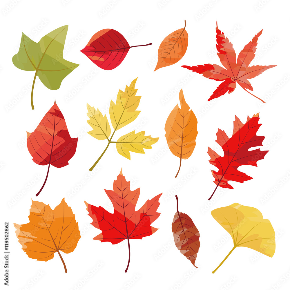 Fototapeta premium Autumn Leaves