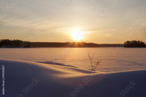 Amazing sunset in the winter time in Finland. A lonely tiny tree branch is standing in the snow against the glowing sun.