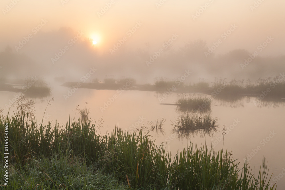 Fototapeta premium Foggy sunrise on a small river