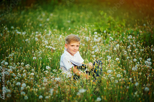portrait of a boy in a field with dandelions .Sitting in a field colors .
