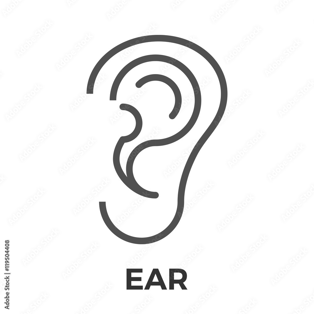 Ear thin line vector icon isolated on the white background. Ear thin line vector icon isolated on the white background.