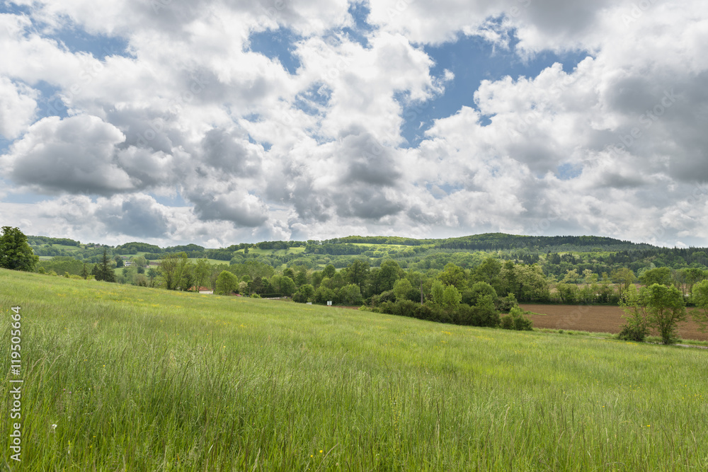 meadow on a background of hills cloudy summer day