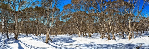 Namadgi Alpine Area