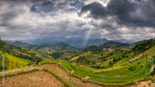 Rice fields in terraced with beautiful curves on high mountain,