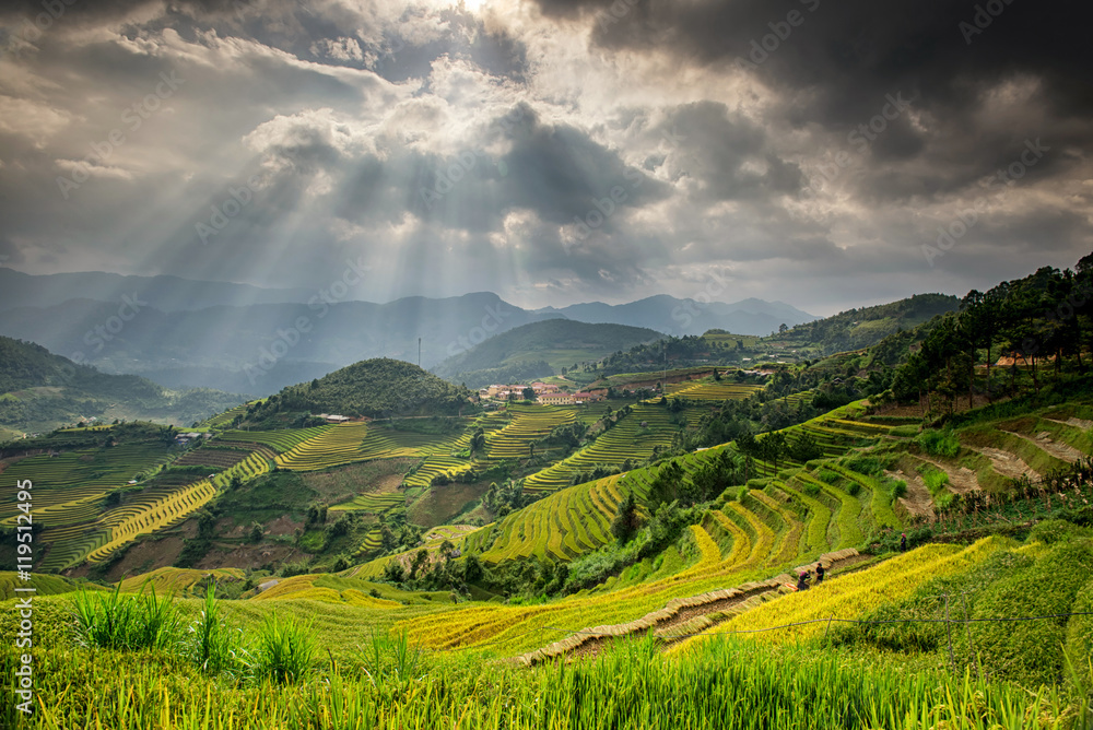 Rice fields in terraced with beautiful curves on high mountain, Rice fields in terraced with beautiful curves on high mountain,