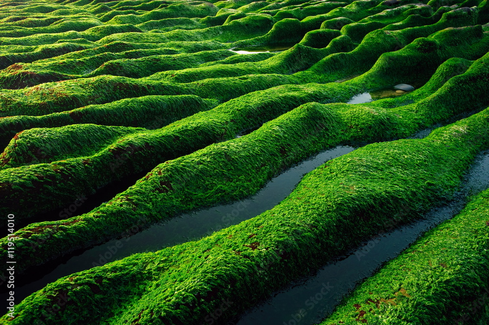 Fototapeta premium Lao May