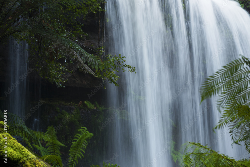 Fototapeta premium Russel Falls in Mount Field National Park.