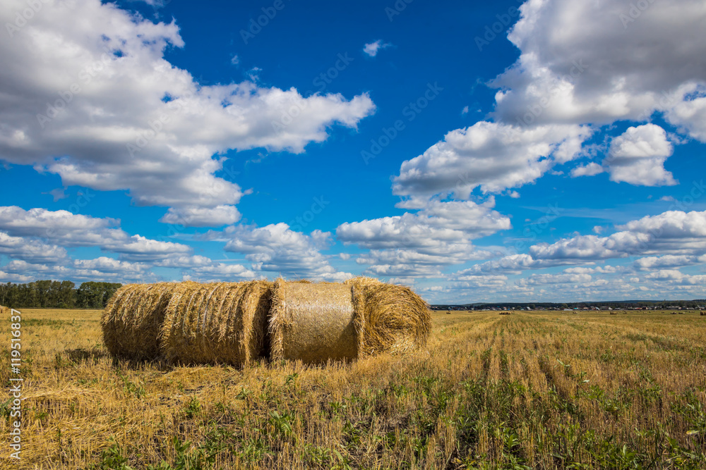 Straw Bales Harvest on Stubble field under blue sky