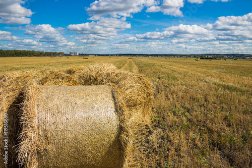 Straw Bales Harvest on Stubble field under blue sky