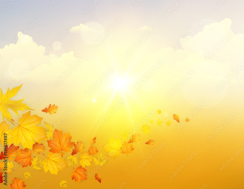 Autumn Fantasy Vector Landscape Background, Sunset on cloudy sky.
