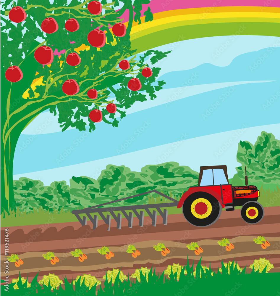 rural landscape - tractor and orchard
