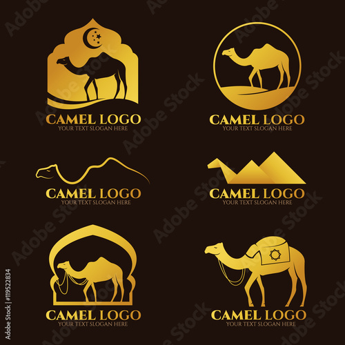 Gold Camel logo and sign vector set design