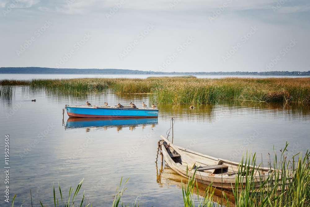 Wild ducks sit on the  boat.