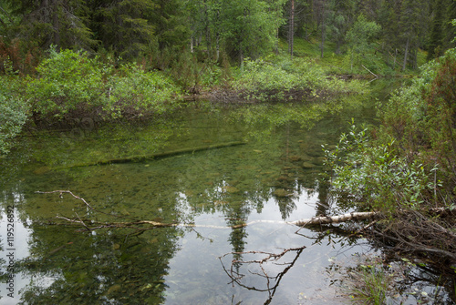 Calm and clear Scandinavian river in the middle of forest