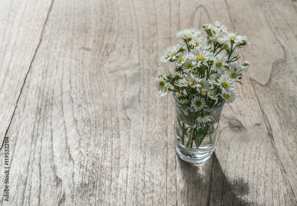 Fototapeta premium White small flowers