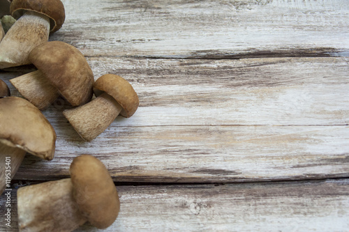 Mushrooms on a wooden background