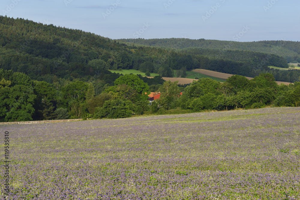 Oberlausitz Stock-Foto | Adobe Stock
