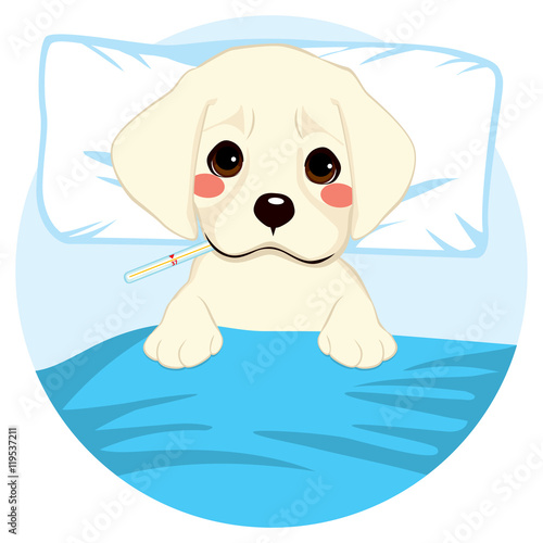 Cute little pet puppy dog ill in bed with thermometer