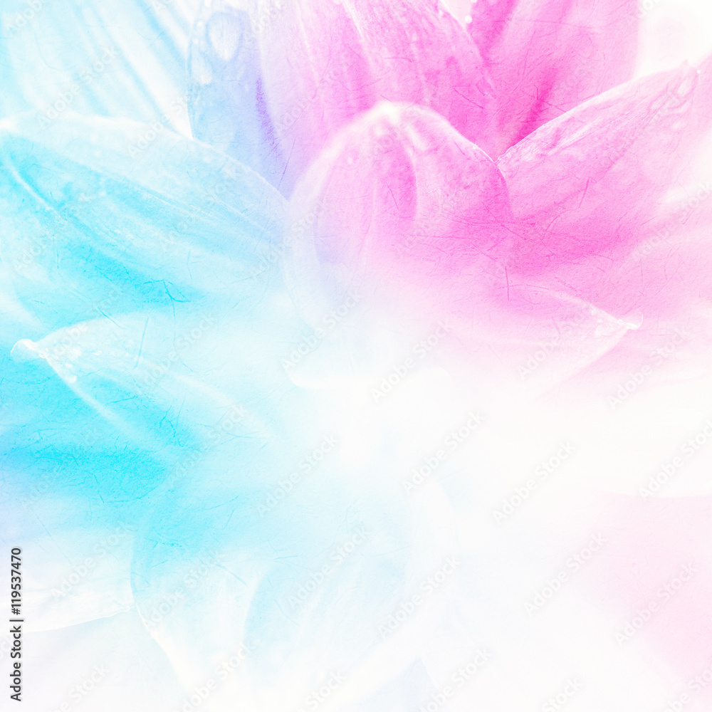 vivid color Chrysanthemums petals on mulberry paper texture for background


