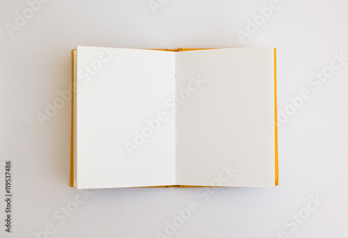 Opened blank notebook