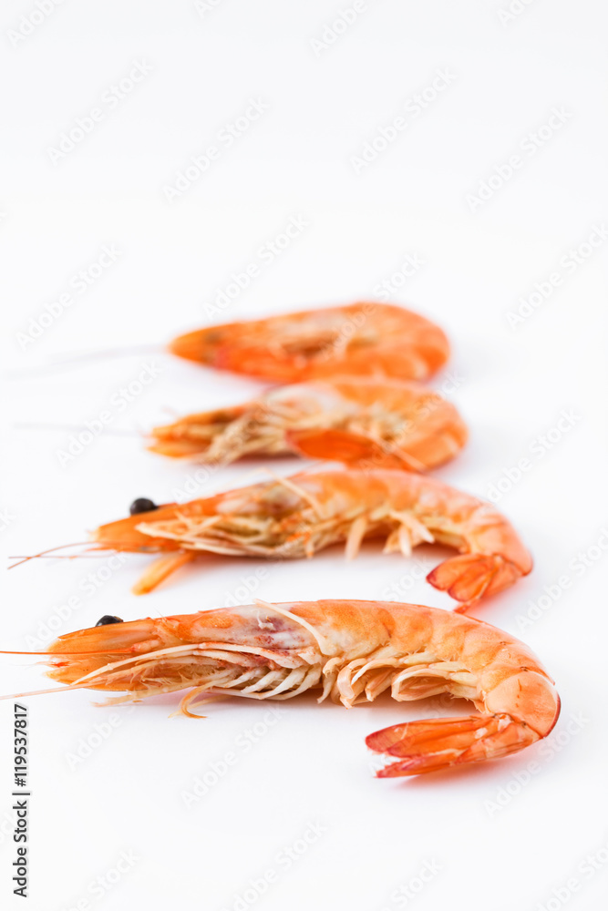 Prawns isolated on white background
Prawns isolated on white background