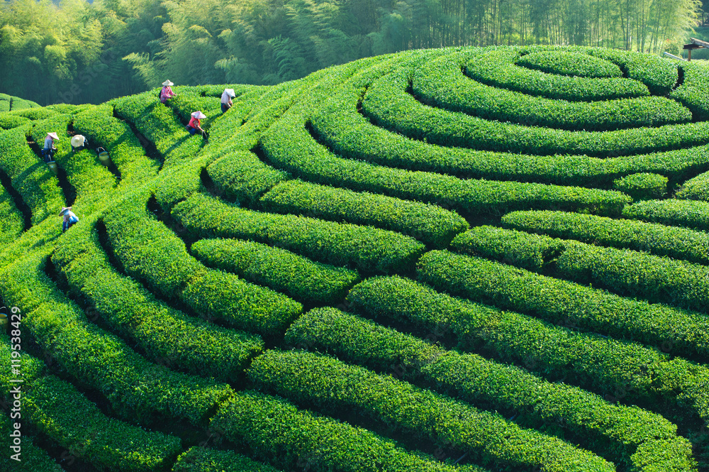 Taiwan Landscape Taiwan Landscape