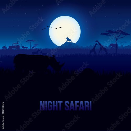 Photography Vector illustration of African landscape with wildlife at night scene, Full moon and night sky