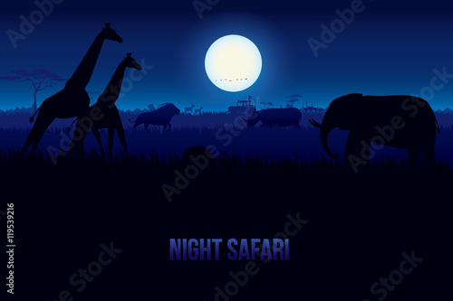 Vector illustration of African landscape with wildlife at night scene, Full moon and night sky. Safari theme