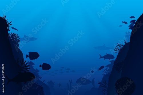Vector illustration of sea life and coral on seabed background. photo
