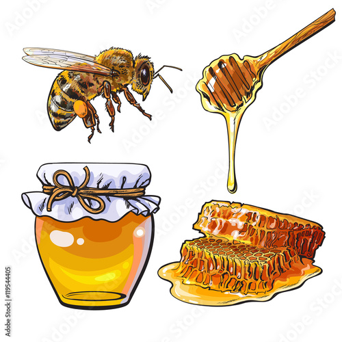 Jar of honey, bee, dipper and honeycomb, sketch style vector illustration isolated on white background. Jar, honey comb, bumble bee and wooden dipper. Honey making symbols, apiary icons
