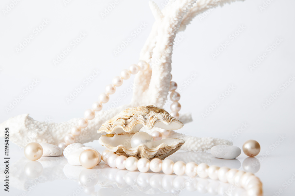 White pearl in shell decorated with pearl necklace. White pearl in shell decorated with pearl necklace.