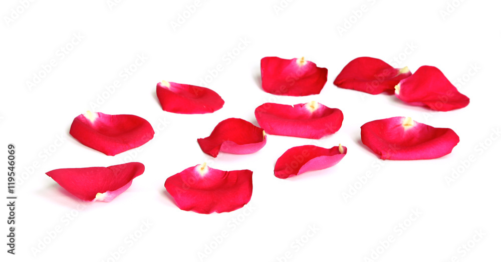 Fototapeta premium Pétales de rose rouge