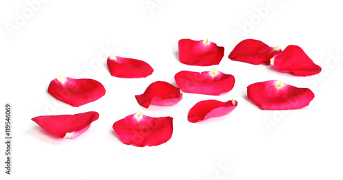 Pétales de rose rouge