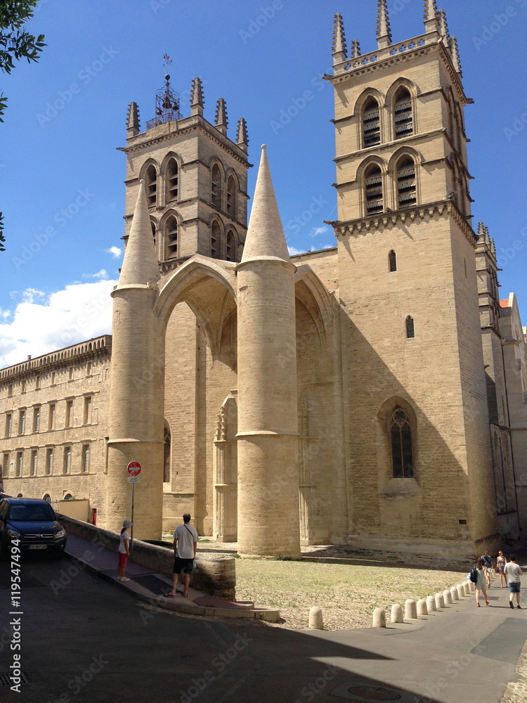 French Medieval Cathedral