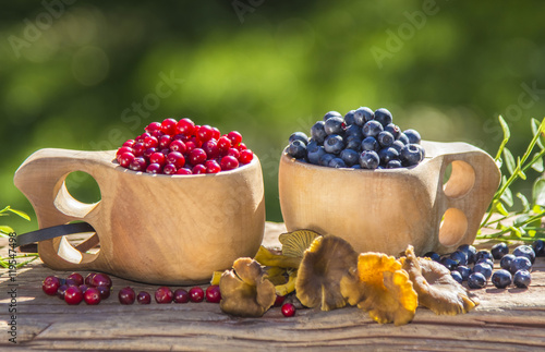 фотографія Super food, Blueberries, lingonberries and mushrooms just picked from forest in