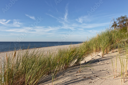Baltic sea shore. Summer  dunes  sandy beach