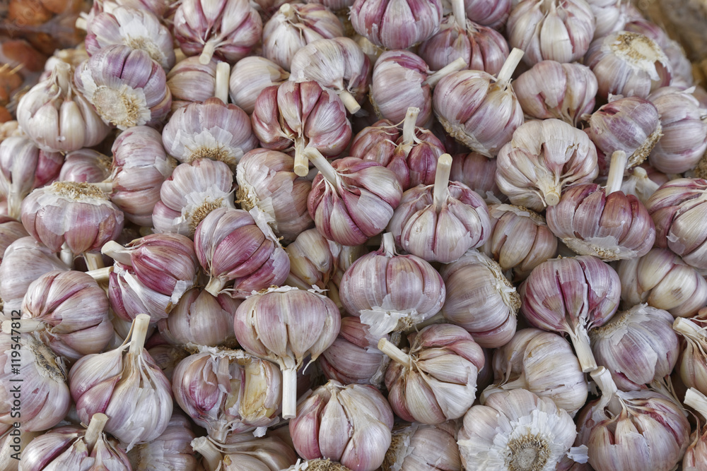 garlic garlic