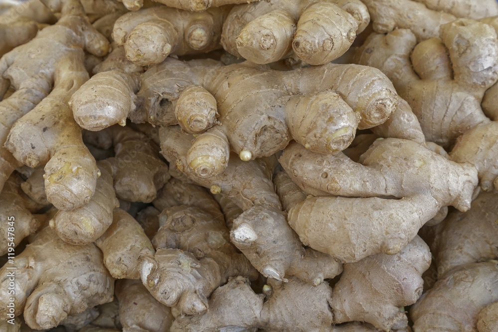 ginger ginger
