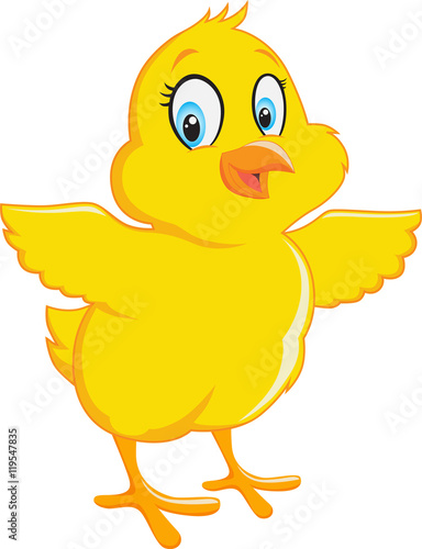 Cute chick cartoon for design on white background. vector illustration eps10. Hen, bird, rooster, chicken