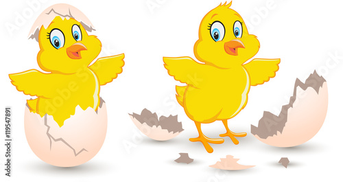 Chick Coming Out From Broken Egg. Baby cute chick hatched newborn in the broken eggshell vector illustration on white background