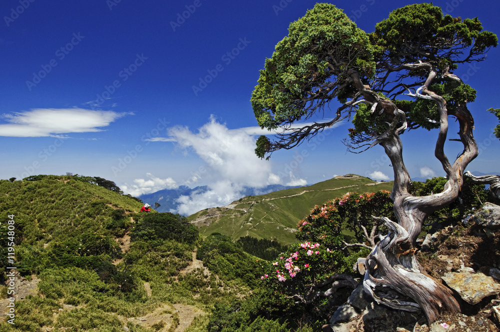 Obraz premium Taiwan Landscape